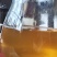 古树春茶汤色