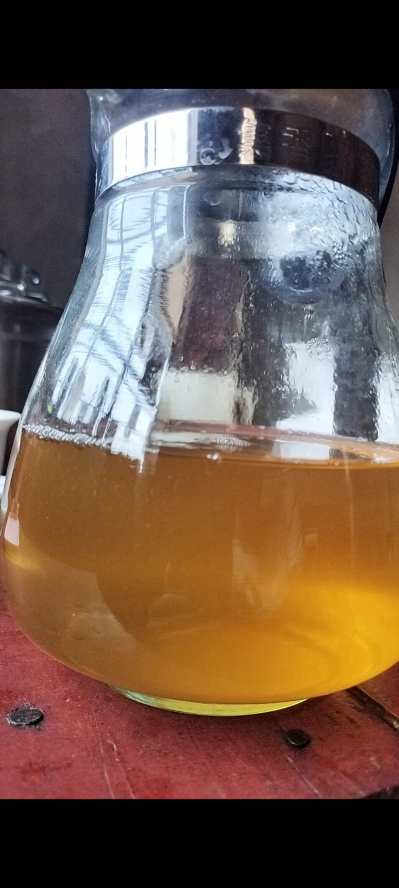 古树春茶汤色