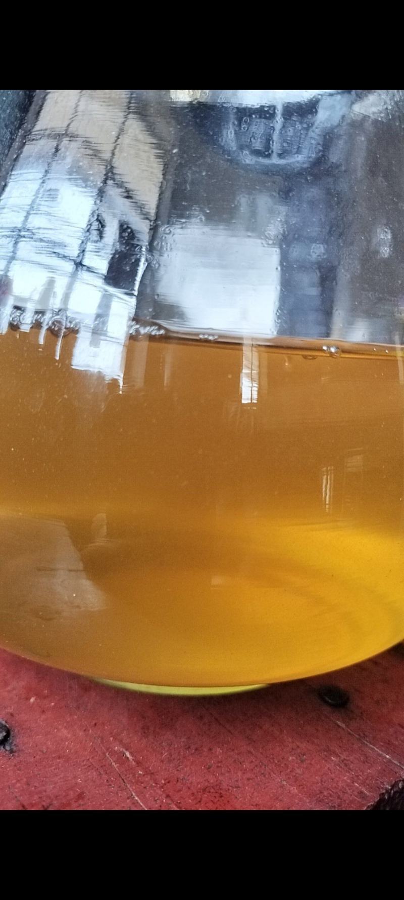 古树春茶汤色
