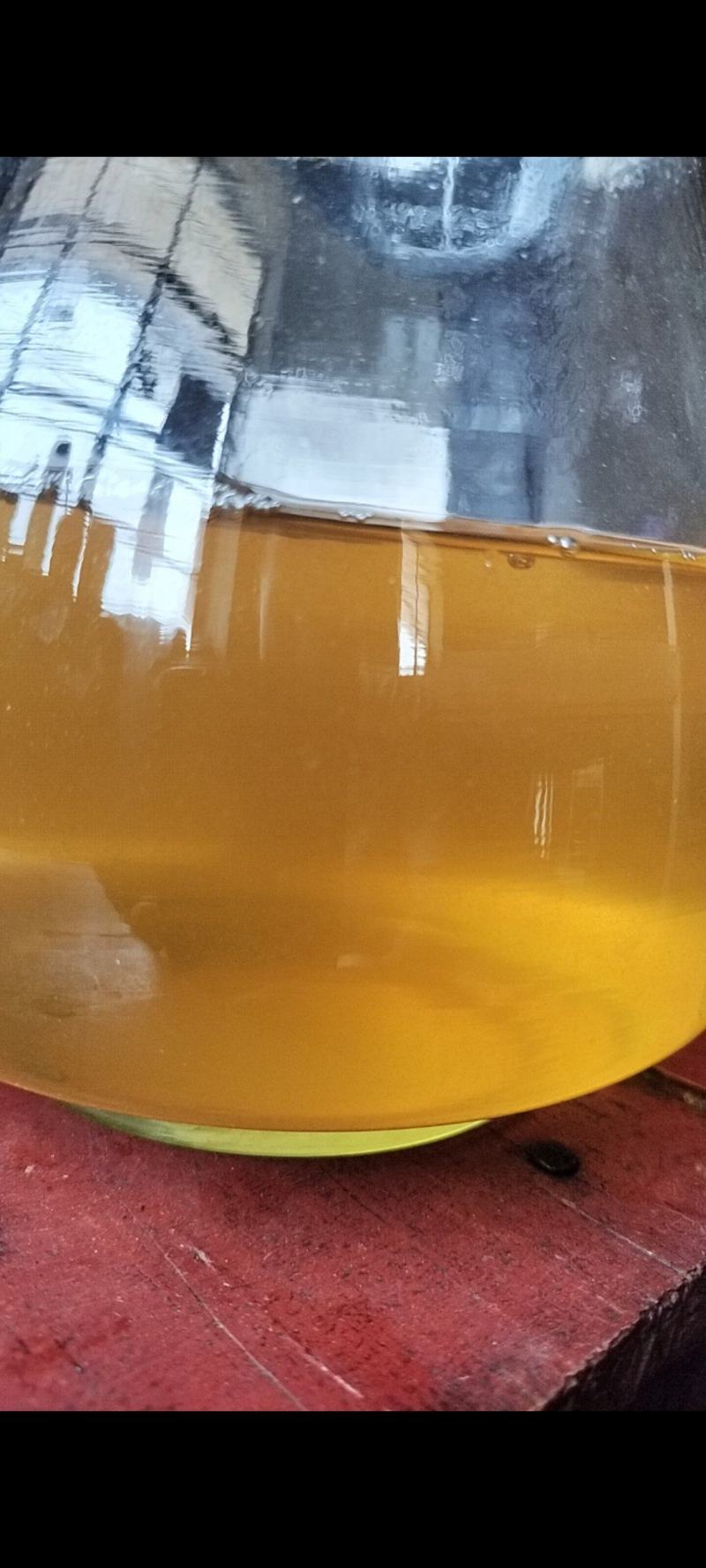 古树春茶汤色