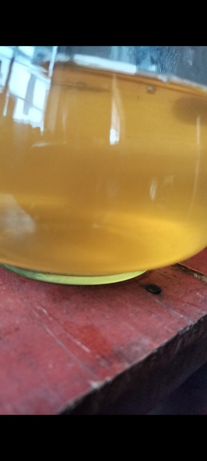 古树春茶汤色