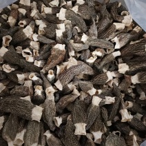 【牛商商家】羊肚菌，产地发货，量大从优，欢迎来电选