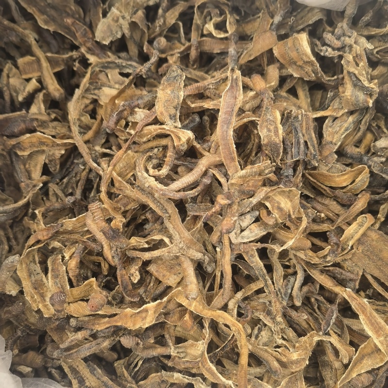 地龙，中开，新货少许泥头，关书药业批发中药材