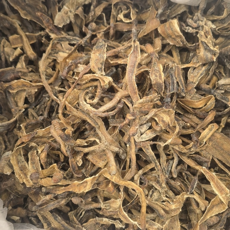 地龙，中开，新货少许泥头，关书药业批发中药材