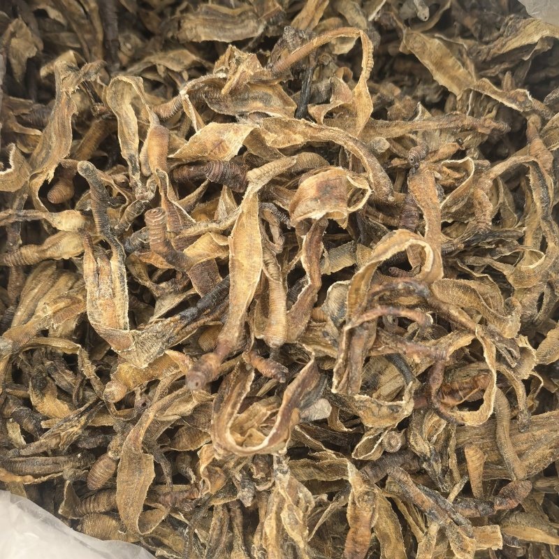 地龙，中开，新货少许泥头，关书药业批发中药材