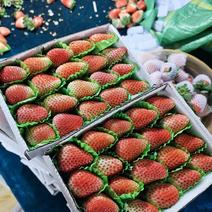 蒙特瑞夏季草莓