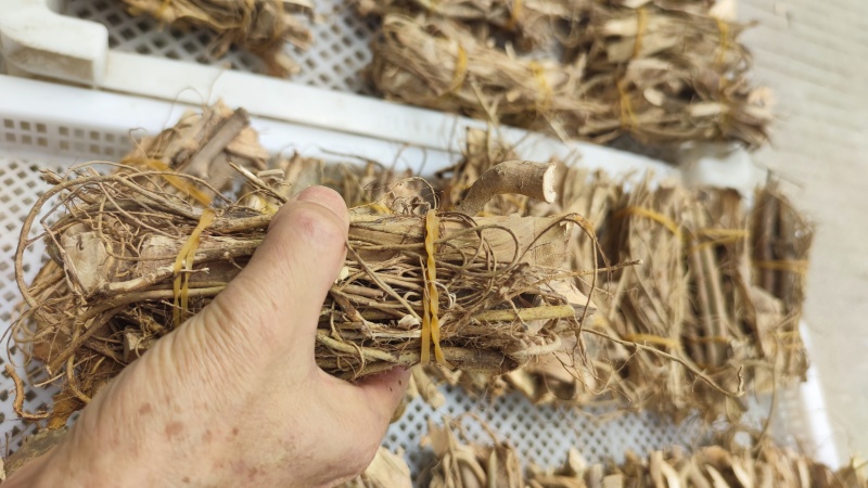白花牛奶根，纯手工制作，把把清香，原汁原味