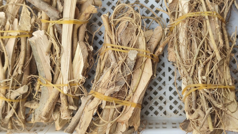 白花牛奶根，纯手工制作，把把清香，原汁原味