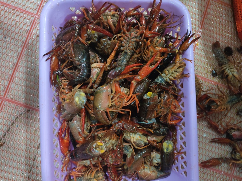 小龙虾