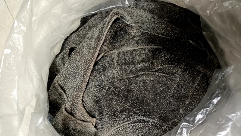 新鲜整块黑毛肚冰鲜牛百叶千层肚屠宰场牛杂火锅冒菜串串商用