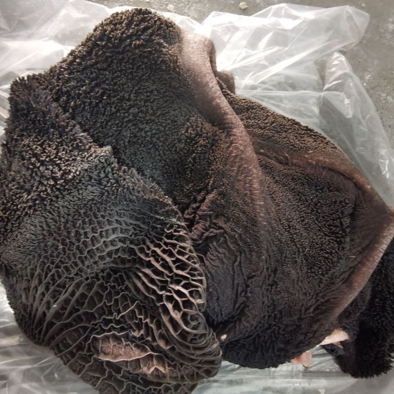 鲜生牛毛肚黑肚牛大肚带金钱整个大肚