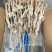 鱿鱼须串，35克一支，5包*20支一件，不缩水，足克数，