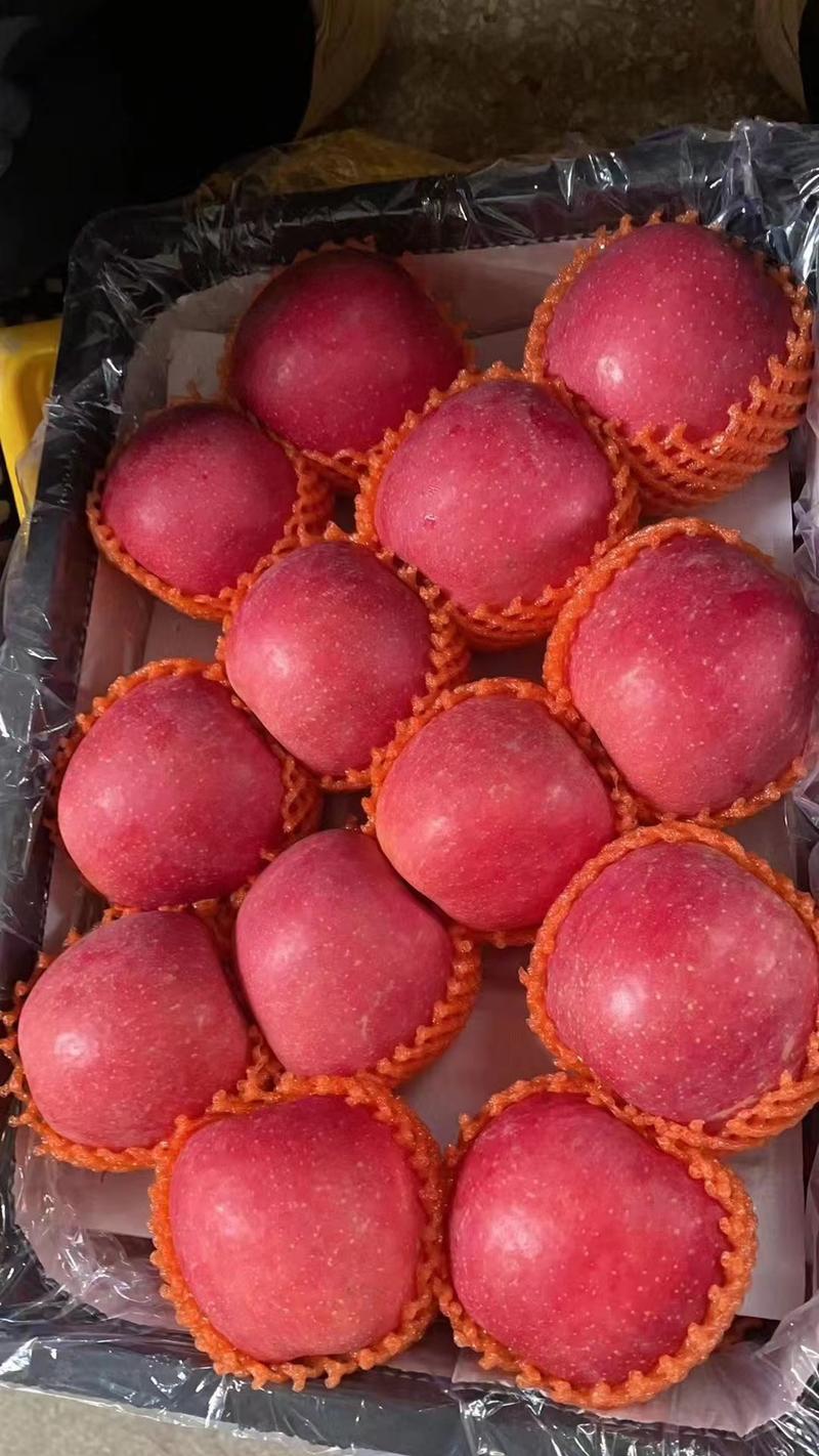 红富士苹果精品苹果产地大量现货口感脆甜保证质量