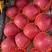 红富士苹果，产地直发，口感脆甜，有【市场，电商，外贸】等