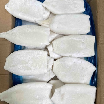 单冻原汁去皮鱿鱼筒，20斤一件，300/400克一个。