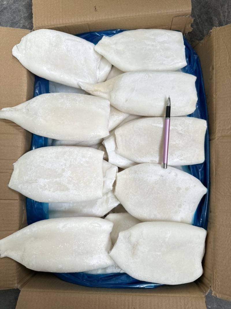 单冻原汁去皮鱿鱼筒，20斤一件，300/400克一个。