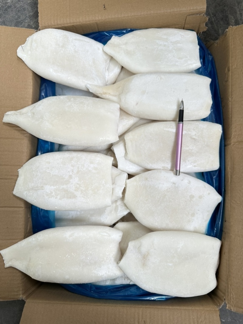 单冻原汁去皮鱿鱼筒，20斤一件，300/400克一个。