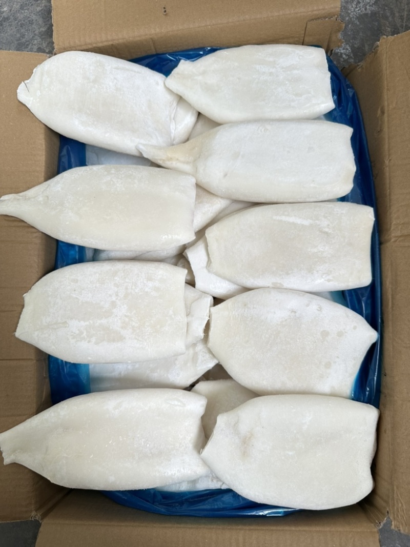 单冻原汁去皮鱿鱼筒，20斤一件，300/400克一个。