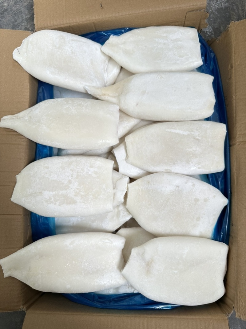 单冻原汁去皮鱿鱼筒，20斤一件，300/400克一个。