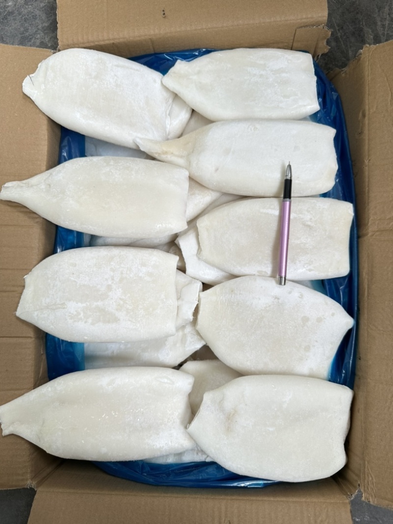 单冻原汁去皮鱿鱼筒，20斤一件，300/400克一个。