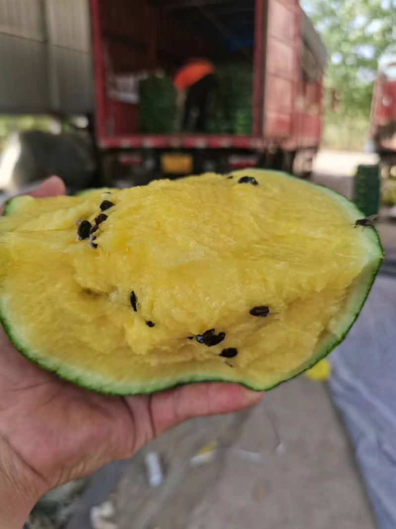 【推荐】江苏精品特小凤西瓜，产地一手货源，可视频看货选货