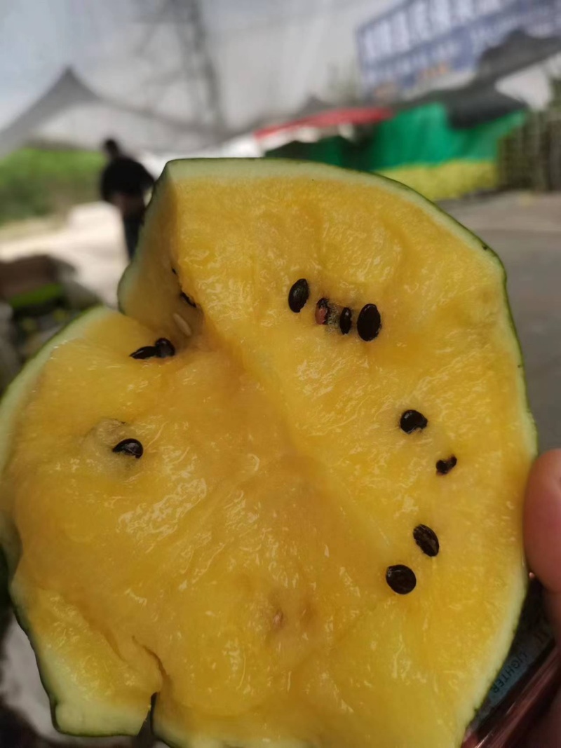 【推荐】江苏精品特小凤西瓜，产地一手货源，可视频看货选货