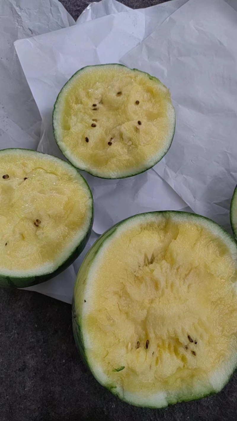 【推荐】江苏精品特小凤西瓜，产地一手货源，可视频看货选货