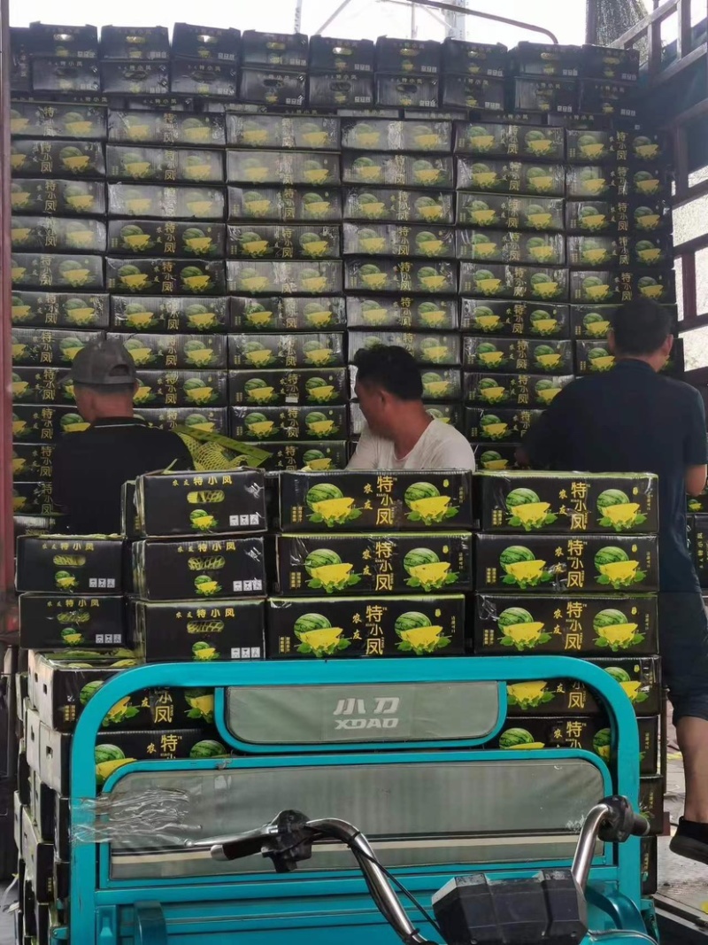 【推荐】江苏精品特小凤西瓜，产地一手货源，可视频看货选货