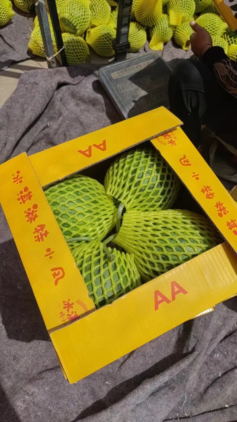 【推荐】江苏精品特小凤西瓜，产地一手货源，可视频看货选货