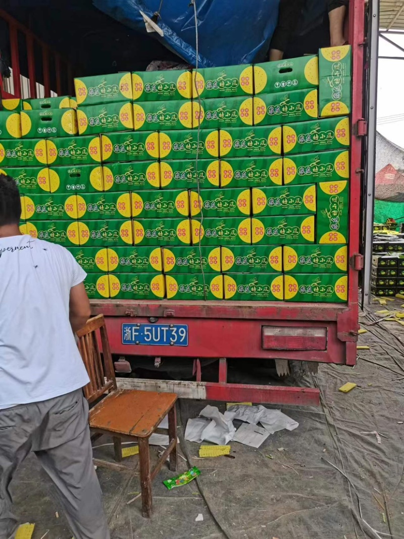 【推荐】江苏精品特小凤西瓜，产地一手货源，可视频看货选货
