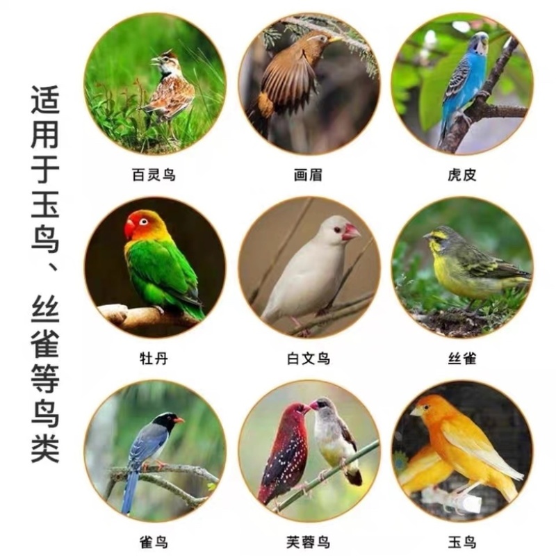 新白苏子籽鸟食鸟粮大颗粒软壳苏籽鹦鹉玉鸟芙蓉鸟金丝雀黄鸟