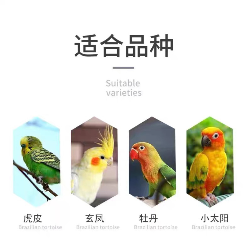 新白苏子籽鸟食鸟粮大颗粒软壳苏籽鹦鹉玉鸟芙蓉鸟金丝雀黄鸟