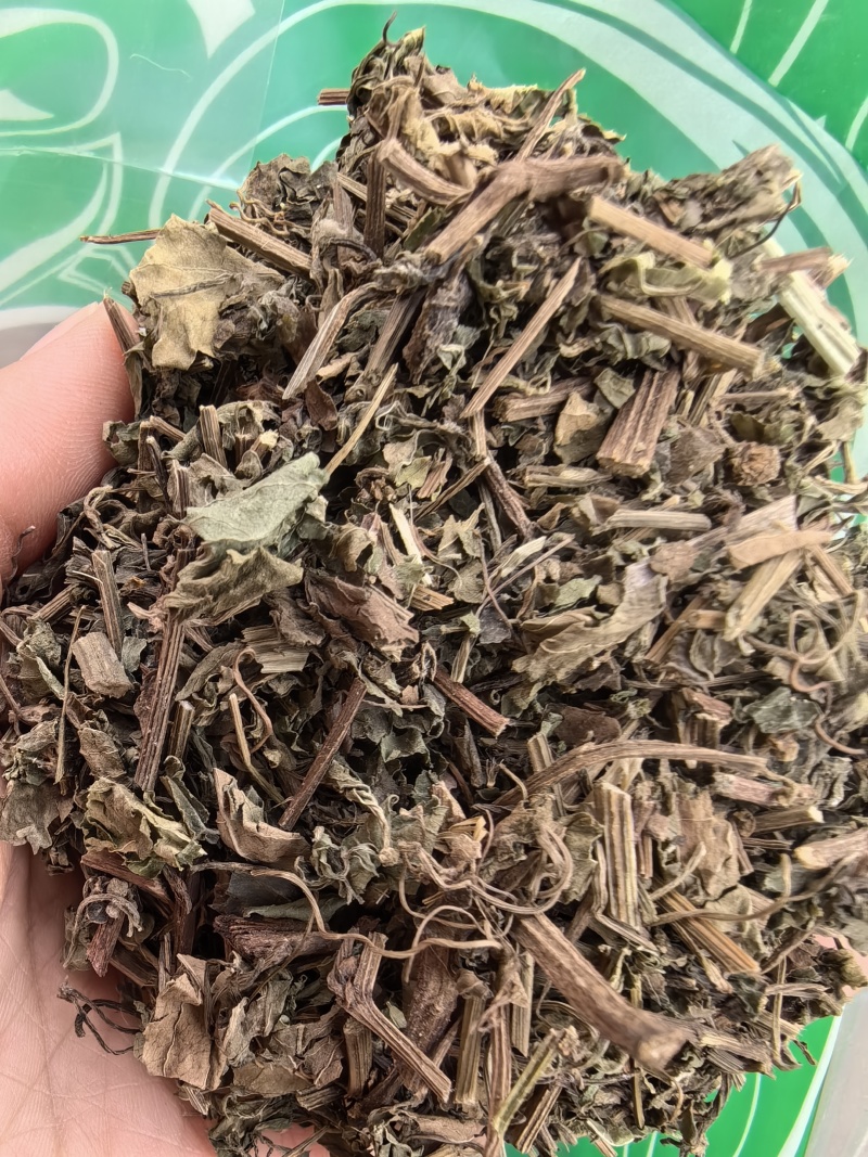 绞股蓝新货物美价廉实图拍摄今年新货