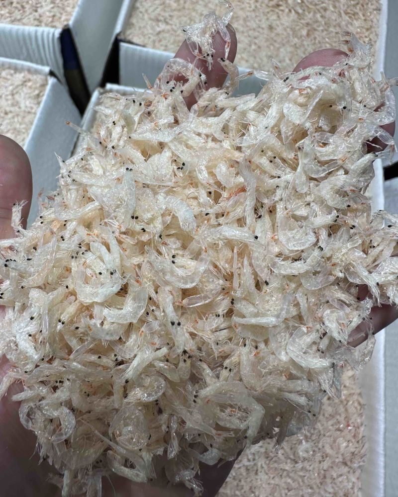 浙江淡干虾皮