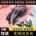 埃及鱼苗革子胡鲶鱼耐活塘鲺大型淡水养殖食用好养耐活八须鲶