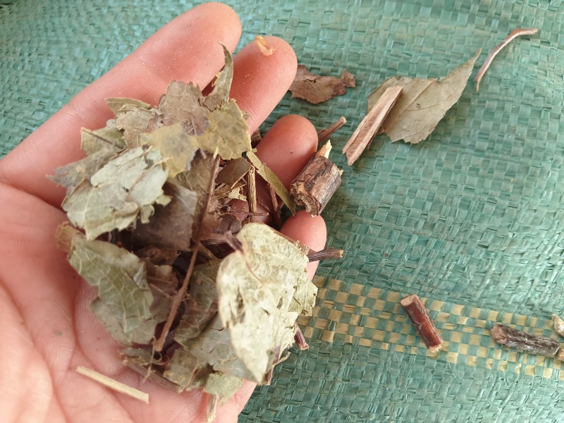 透骨草供货稳定干净无杂售后无忧量大从优