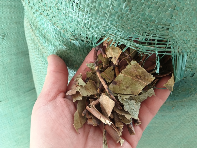 透骨草供货稳定干净无杂售后无忧量大从优