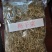 安徽界首市大量供应梅干菜无添加自产自销，量大从优价格可议