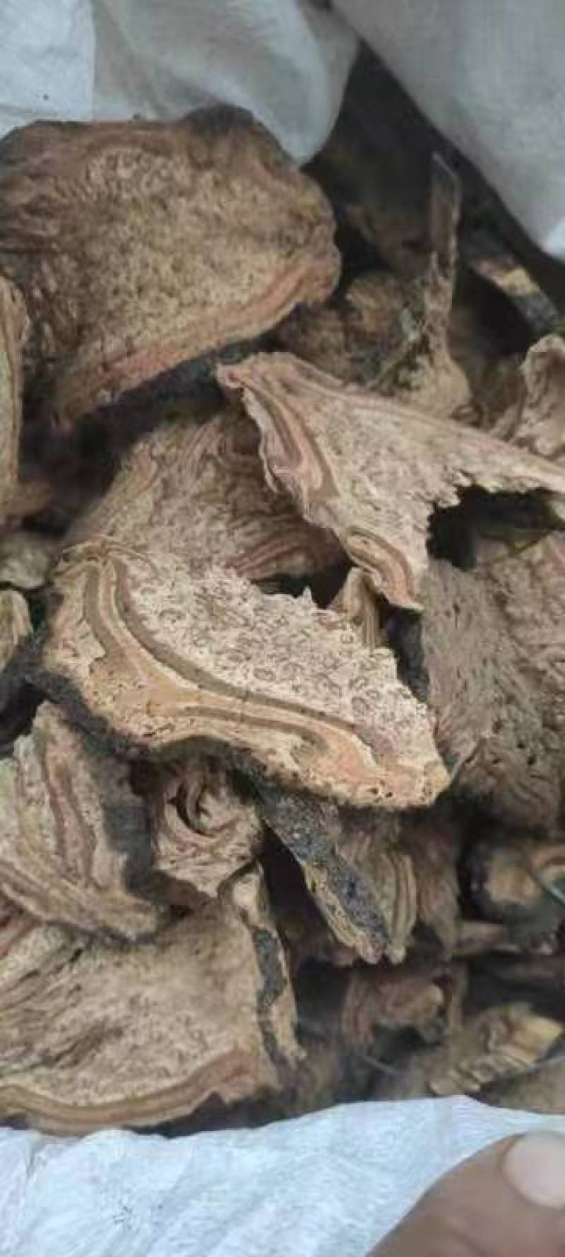 龙骨风干货切片2斤包邮量大优惠