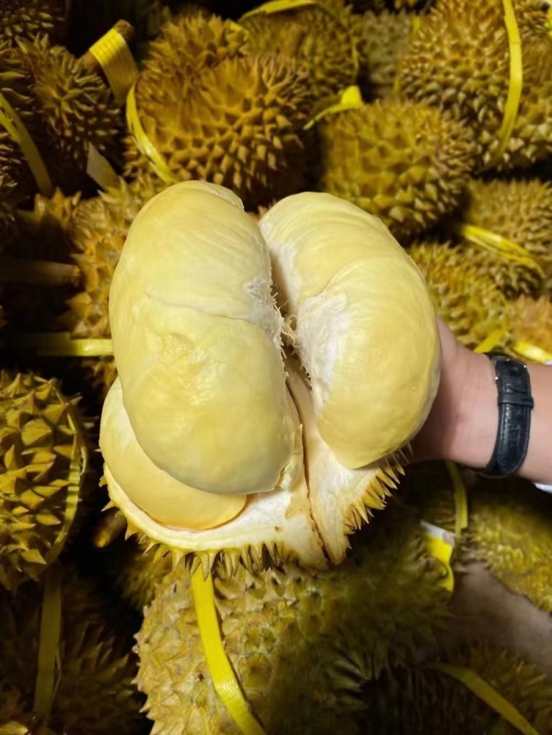 甲仑榴莲