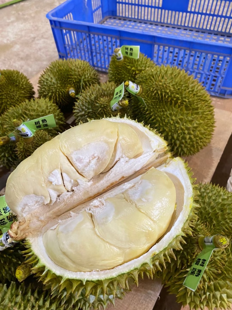甲仑榴莲