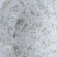 水花淡水鱼水花四大家鱼水花水花批发水花包邮