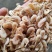 蹦虾崩虾小白虾油炸原料
