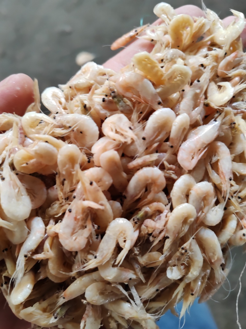 蹦虾崩虾小白虾油炸原料