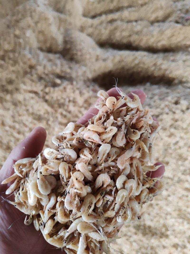 蹦虾崩虾小白虾油炸原料