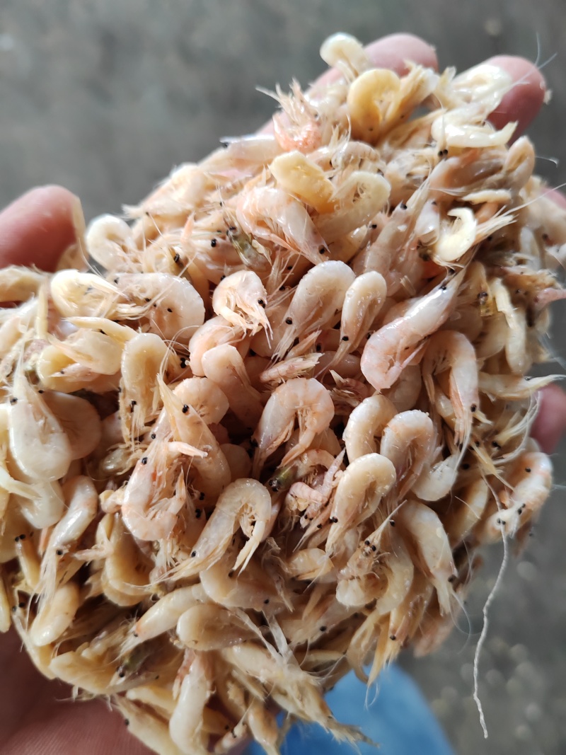 蹦虾崩虾小白虾油炸原料