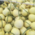 山东甜瓜星甜20产地批发品种齐全承接全国市场电商