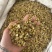 石斛黄石斛黄草石斛保庆药业实物拍摄！发货如图金石斛