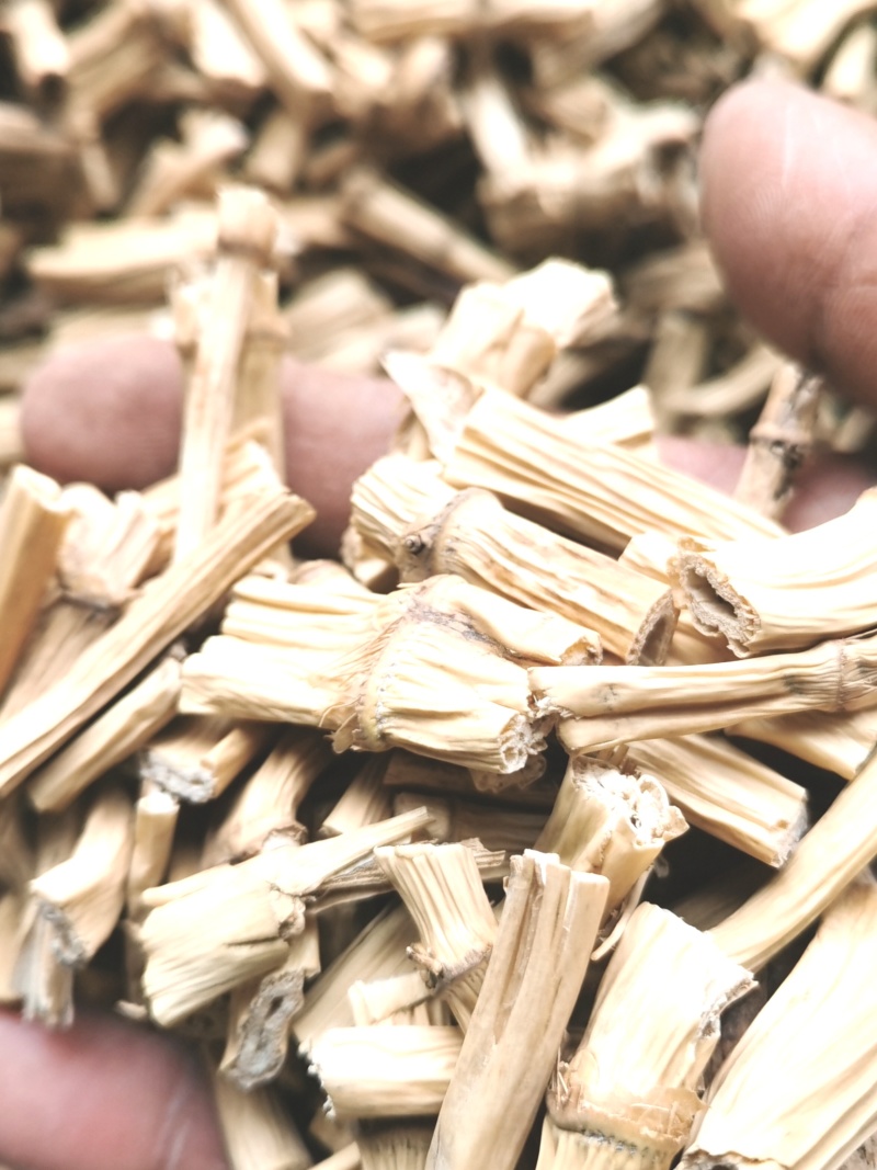 芦根热卖新货量大从优