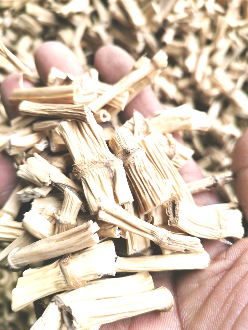 芦根热卖新货量大从优